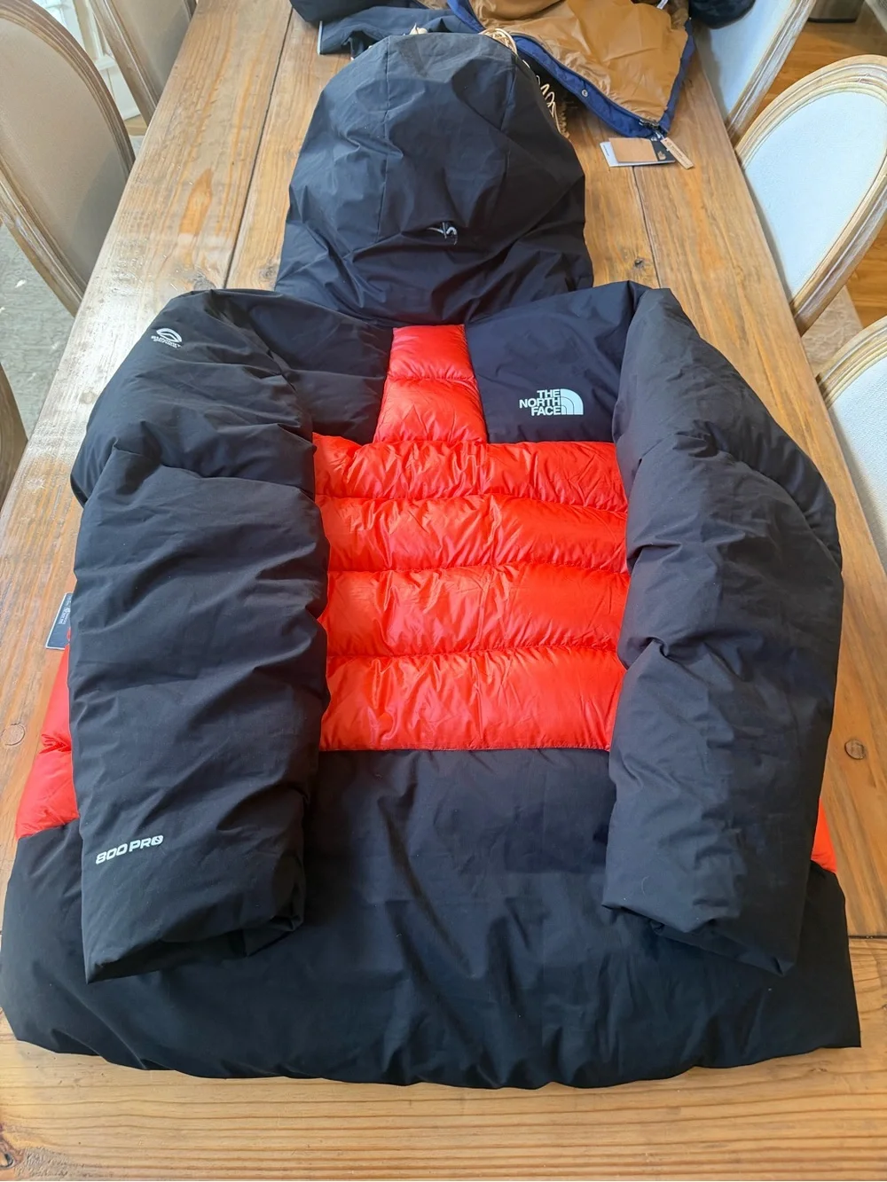 NORTH FACE SUMMIT SERIES L 6 800 PRO BELAY DOWN PARKA BEST IN CLASS HI FILL